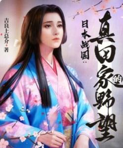 日本战国：真田家的野望