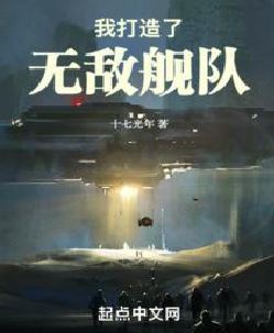 我打造了无敌舰队